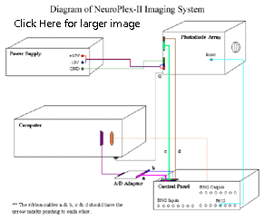 NeuroPlex-II Schematic Diagram: Click to Enlarge